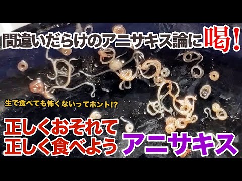間違いだらけのアニサキス論に喝！正しく恐れて、正しく食べようアニサキス！