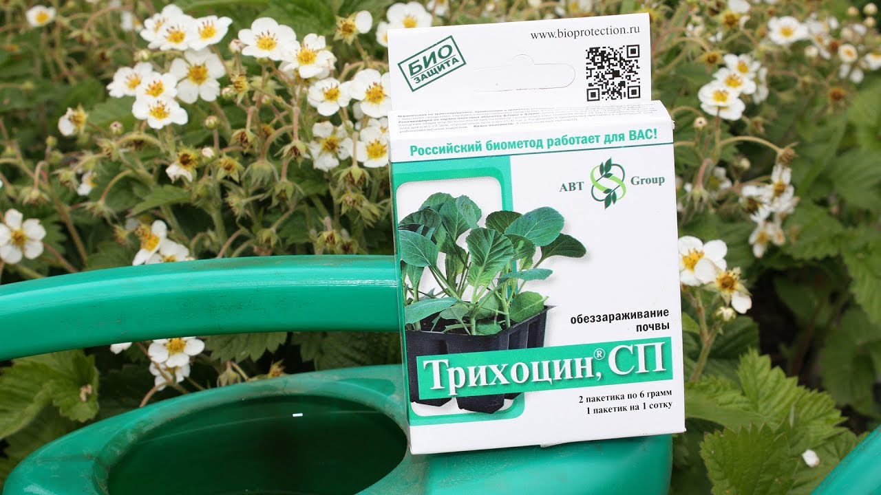 СРОЧНО Биопрепараты от болезней растений Сделайте это в июне!