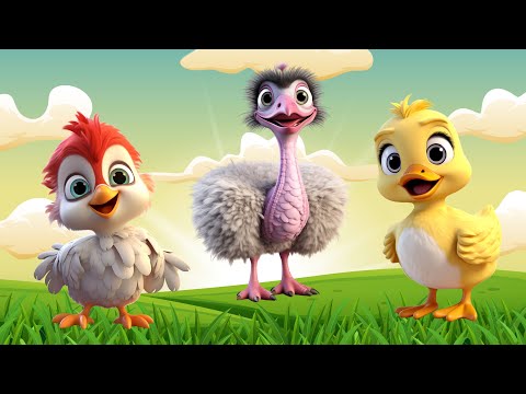 Cute Farm Animals: Chicken, Duck, Ostrich, Sheep, Goat – Animal Sounds