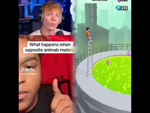 Opposite Animals Mate? 😱