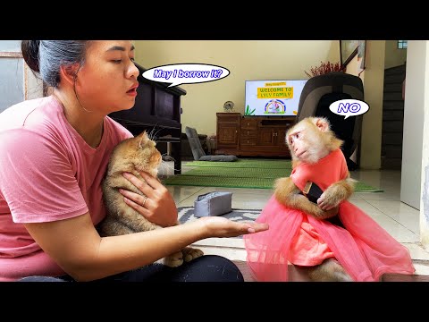 Monkey Lyly is confused and won't give her mother her hair clipper because of...
