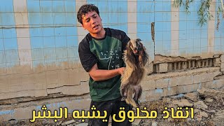 دخلنا مسبح قديم وانصدمنا من اللي شفناه 🤯