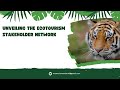 Ecotourism Roles and Principles