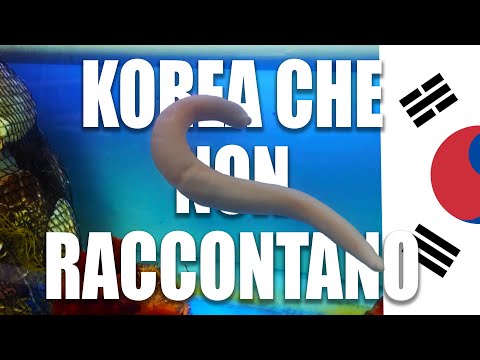 LA KOREA CHE NON RACCONTANO 🇰🇷