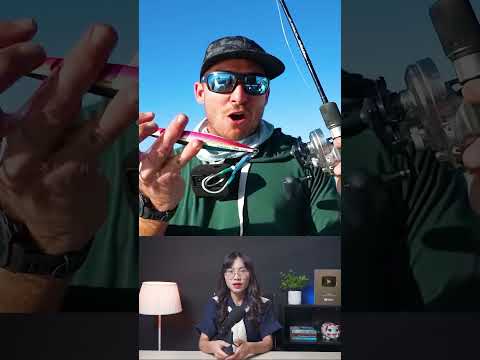 Cậu bé vứt thức ăn thừa xuống biển không ngờ lại thu hút một lượng lớn cá #shorts #haisan #danhbat