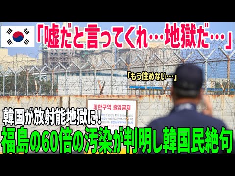 【海外の反応】「一夜にして地獄…」韓国の放射能汚染はなんと福島の60倍！韓国政府日本に助けを乞う以外方法見つからず絶望ｗ【俺たちのJAPAN】