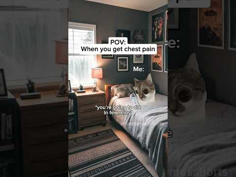 When you get chest pain #shorts #catmemes #relatable #funny