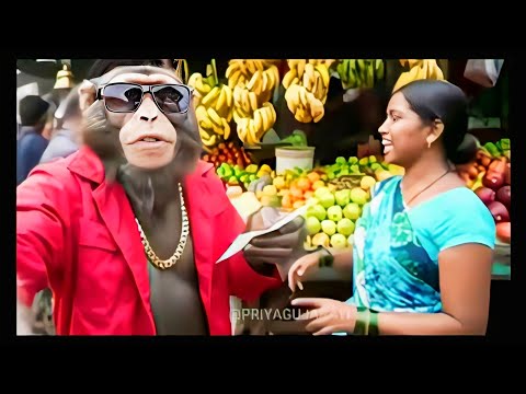 बंदर Gabru रतलाम से इंदौर in Train (Part - 1) | Ai Monkey Vlog | Monkey Vlogger @PriyaGujarati