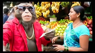 बंदर Gabru रतलाम से इंदौर in Train (Part - 1) | Ai Monkey Vlog | Monkey Vlogger @PriyaGujarati