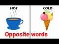 Opposites and Contrasts in Vocabulary