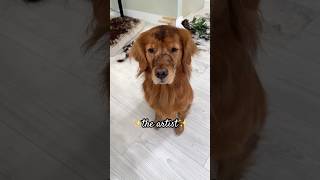 My dog decided to make some dirt art… #goldenretriever #baddog #dogdad