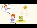 Exploring the Power of Photosynthesis