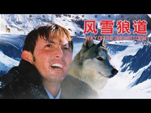 【冒险剧情】《风雪狼道》暴风雪袭来，牲畜死亡，国道受阻，通讯中断，深山中淘金客面临死亡的威胁。 | 灾难/動作/劇情 |  蓝光1080P