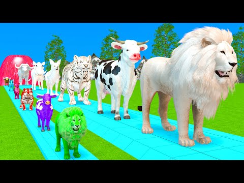 Paint Animals Duck,Tiger,Cow,Lion,Buffalo,Gorilla,Elephant,Dinosaur Fountain Crossing Animal Game Pi