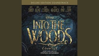 Moments in the Woods