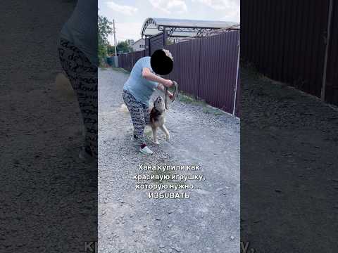 💔Хана купили как красивую голубоглазую игрушку, которую нужно… ИЗБUВАТЬ😭