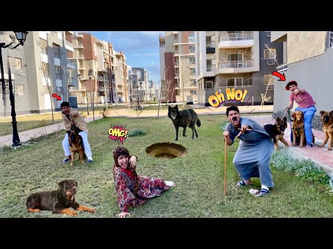لما اخوك الصغير يجيب كلاب البيت وتهجم علي ابوك وامك واخوك يسببها فيك🐕🦺😂/ احمد عفروتو
