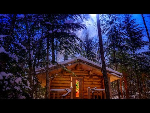 In the Forest with my Wife and Dog | Off Grid Log Cabin in the Wilderness