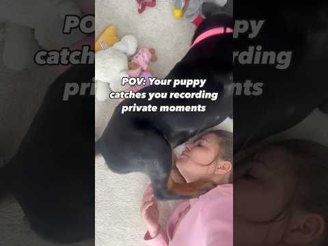 Why Do Dogs Love Belly Kisses?