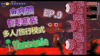 【鄰居QQ】獵殺血肉牆、地牢探險~ [泰拉瑞亞 Terraria] (ft.​ @大豚丸-好好玩 、老闆)  EP.9