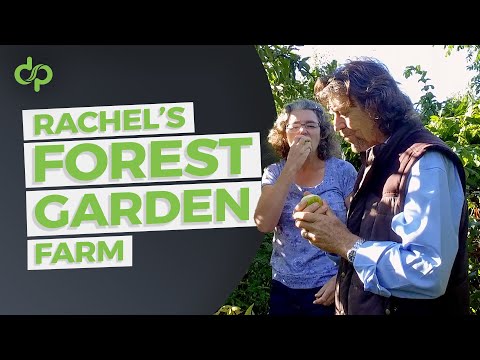 Rachel's Forest Garden Farm