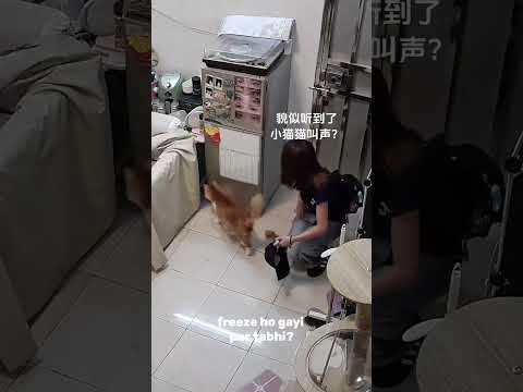 A Heartwarming Surprise from My Cat!