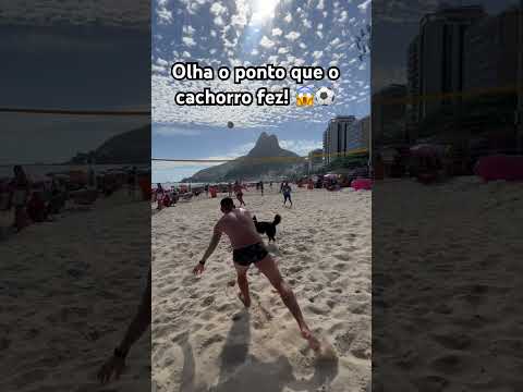 O cachorro joga direitinho! 😍🐶 #videoviral #futvolei #footvolley #riodejaneiro #fypシ゚viral