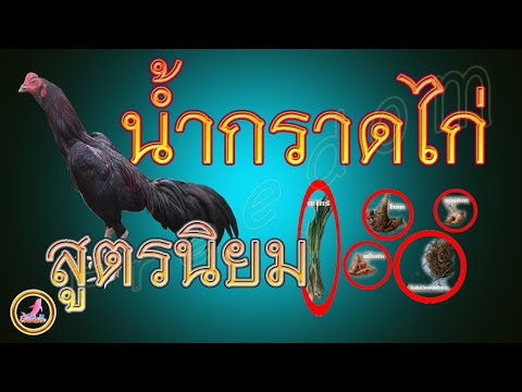 การทำน้ำอาบไก่และประโยชน์ของการกราดแดด...!!!