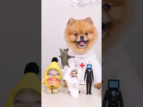 Coco helps Banana Cat give birth to a baby, but who is the father?#coco #bananacat #toiletman