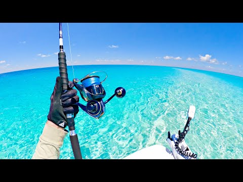 Top Water Pack Attacks | Giant Reef Fish | GT Fishing and Heckling Brooksy