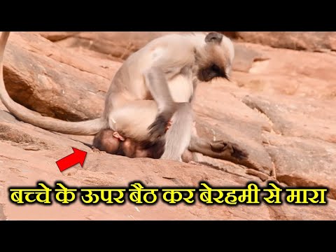 जानवर माँ इतनी बेरहम कयों होती हैं ? WHY ARE ANIMAL MOTHERS SO CRUEL ?