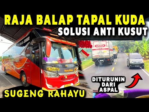 "RAJA BALAP TAPAL KUDA ‼️" BANTER ORA UMUM & ANTI KUSUT 🔥 Trip Report Review Naik Bus SUGENG RAHAYU