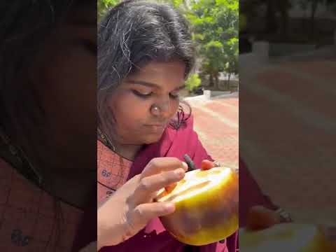 Nisha சாப்பிடுற அழகே தனி😂 #Nisha #Shorts | Comali Sarath