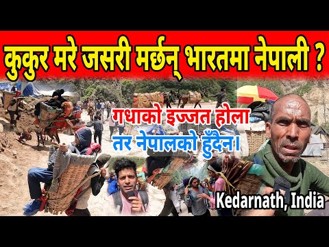 गधाको इज्जत होला तर हाम्रो हुँदैन। Kedarnath maa Nepali. shesh mani vlog