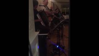 Joe Cullen, Kirk Brauck and Gerry Haughey playing at the Jammin For John Dillon gig in Chicago Gael