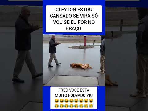 #Cachorro# Folgado é #Esse Meu 😅