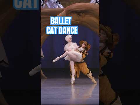 A Ballet Cat Pas de Deux #ballet #sleepingbeauty