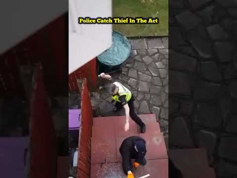 Police catch thief breaking door #police #shorts #copwatch