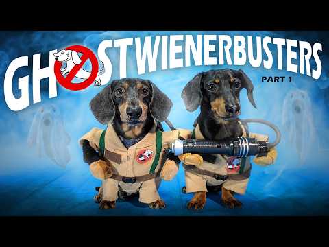 Ep 34: GHOSTWIENERBUSTERS — (Funny & Spooky Dog Video for Halloween)