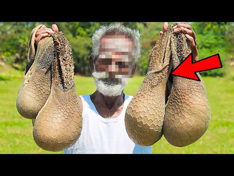 10 Comidas ILEGALES que Están Prohibidas En Todo El Mundo😨