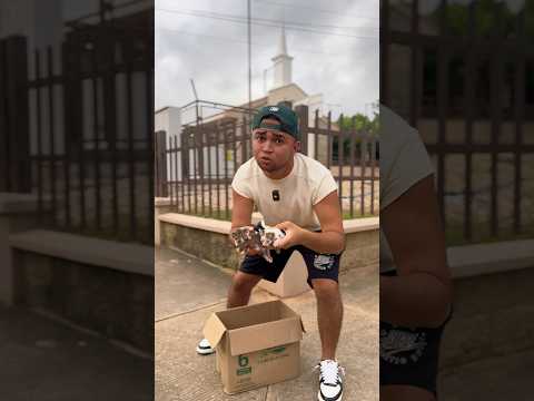 Me encontré estos gatos 😱🥲