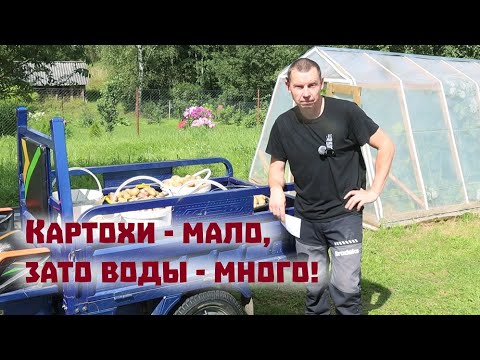 Докапываем картошку и запускаем абиссинку в новом доме!
