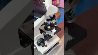 Making a Microscopic Slime!