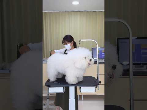 4시간 과정 1분안에 보기ㅎㅎㅎ