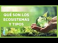 Ecosistemas y Organismos en Biología