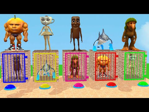 Long Slide Game With Cow Elephant Gorilla Hippopotamus Tiger 3d Animal Game Funny 3d Animals