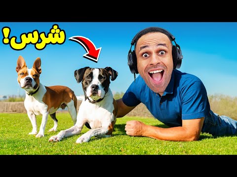 دورة حياة الكلب | DOG LIFE SIMULATOR !! 🐶💗