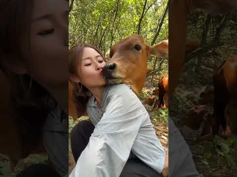 如果你不小心刷到我，请留下来翻翻我的作品吧，也许能治愈你烦躁的心情！ #记录真实生活 #山里姑娘 #放牛