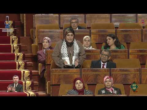 حيكر/القنصوري: حول الفئات المتضررة من توقف برنامج المساعدة الطبية راميد