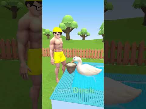 NICK takes care of the TANI Ducks and collects the eggs #shortvideo